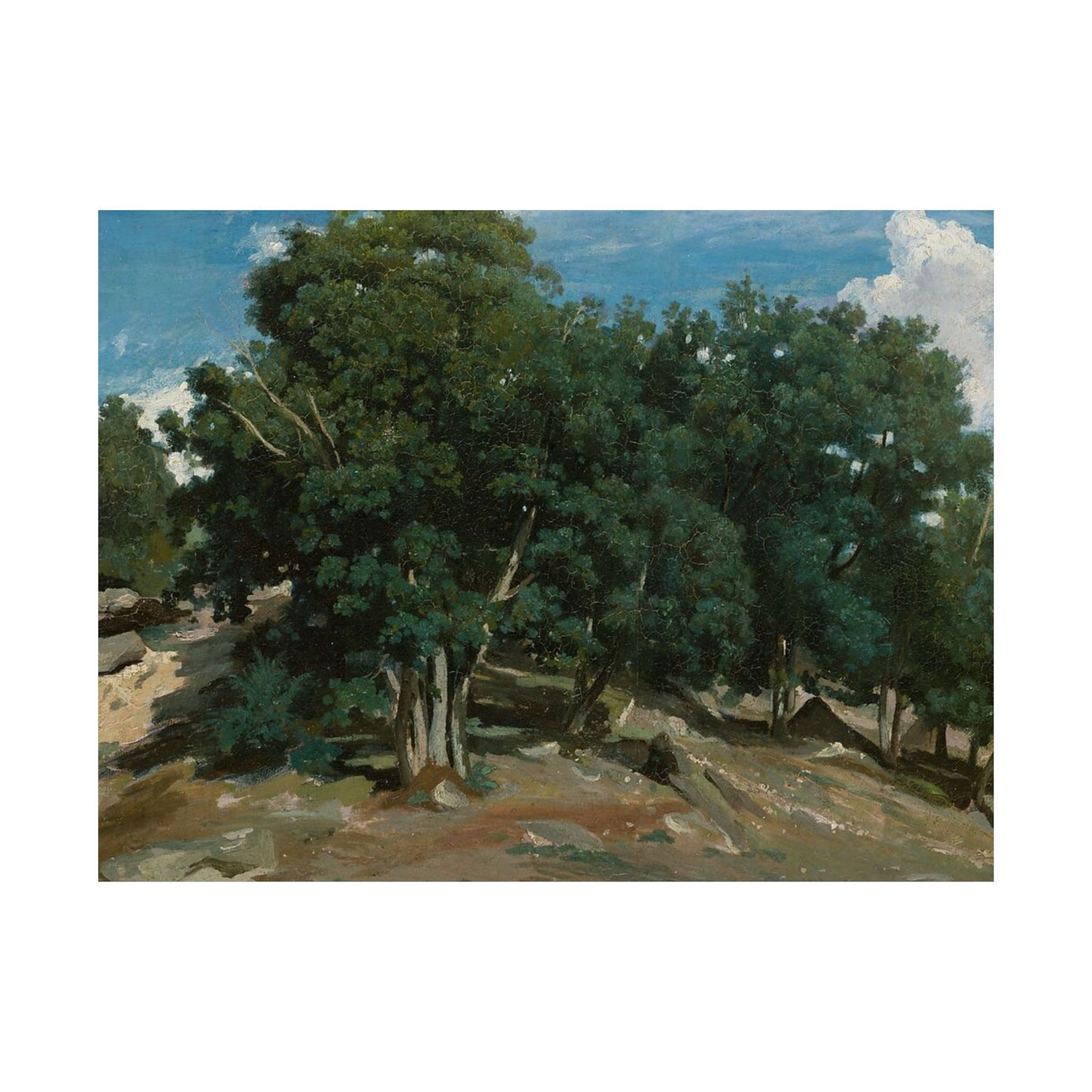 Landscape Art Poster — Vintage Oak Trees Matte Horizontal Wall Print