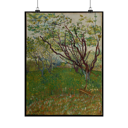 Vincent van Gogh Style Orchard Matte Poster — Vintage Floral Wall Art
