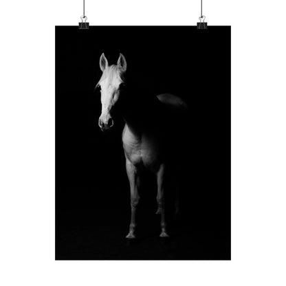 Horse Portrait Poster — Black & White Matte Vertical Art Print