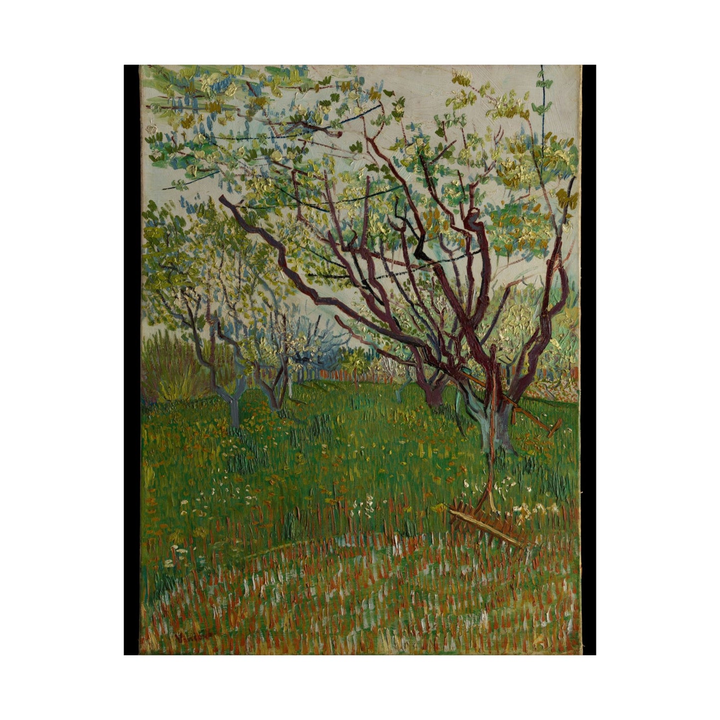 Vincent van Gogh Style Orchard Matte Poster — Vintage Floral Wall Art
