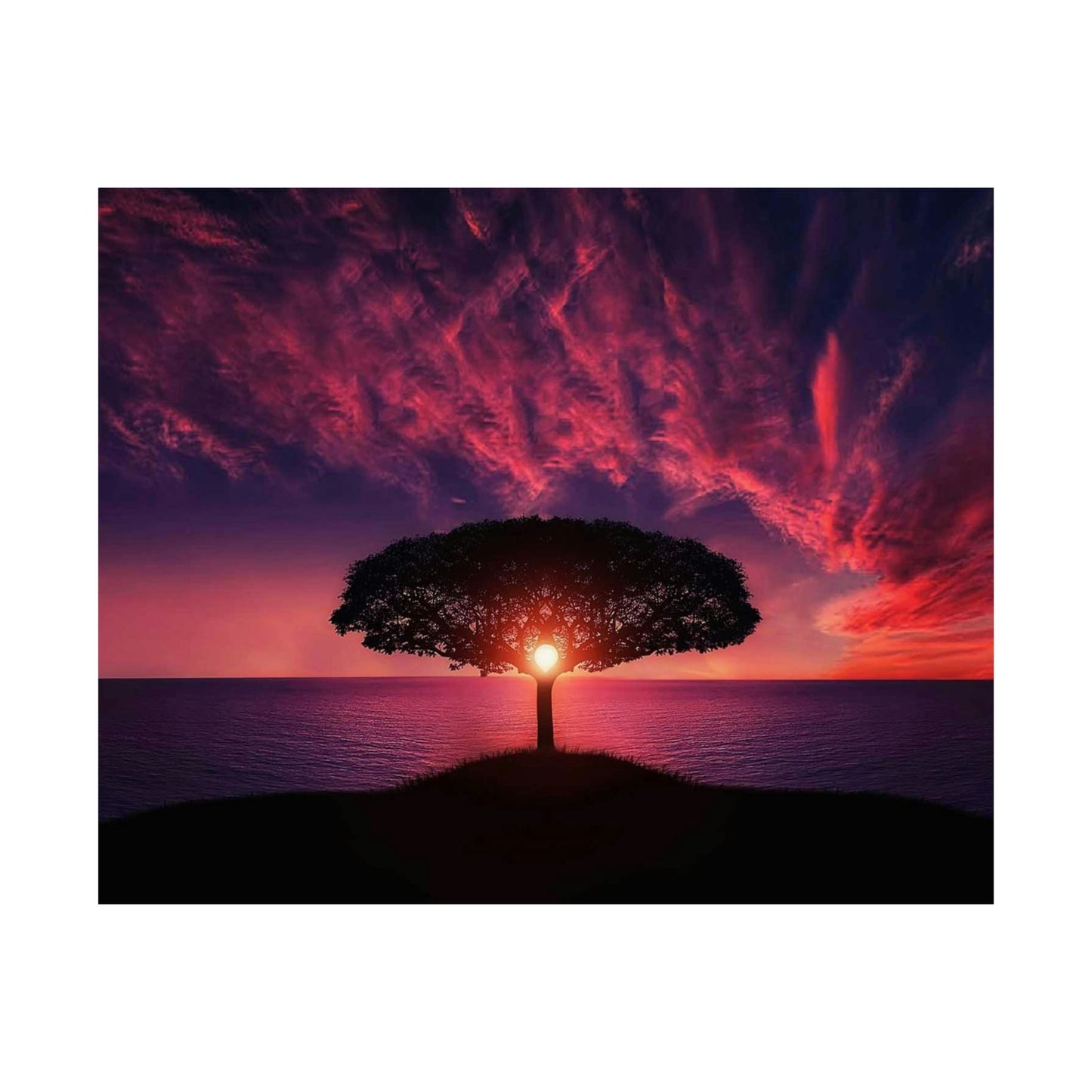 Sunset Tree Matte Poster — Serene Horizon Wall Art