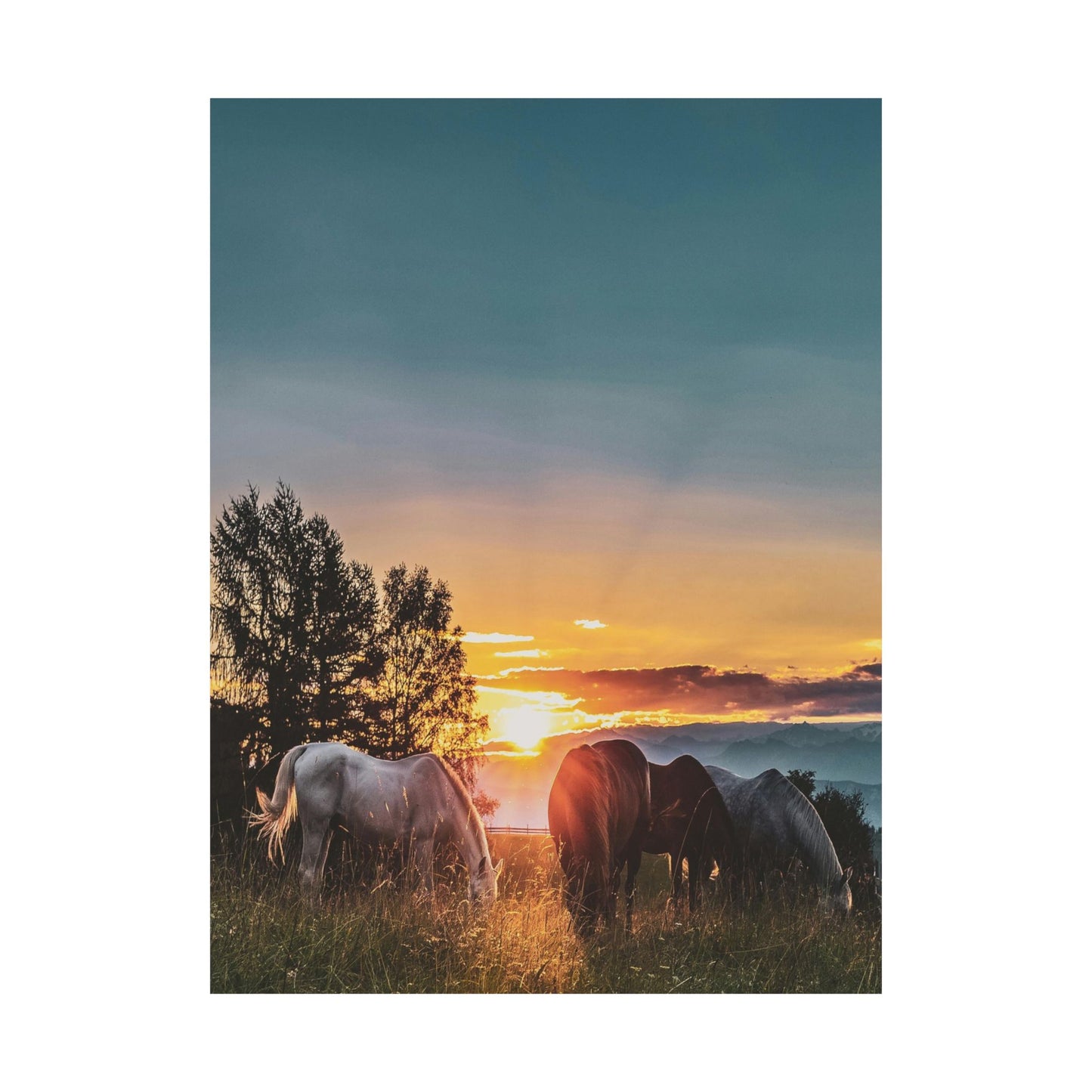 Sunset Horses Matte Poster — Vertical Nature Wall Art