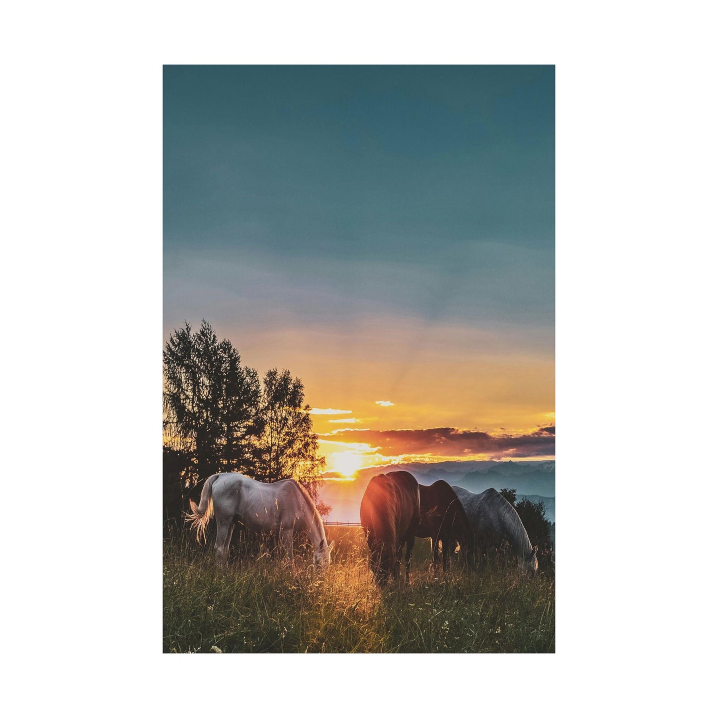 Sunset Horses Matte Poster — Vertical Nature Wall Art