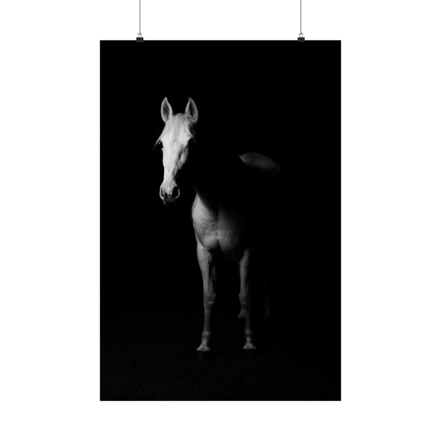 Horse Portrait Poster — Black & White Matte Vertical Art Print