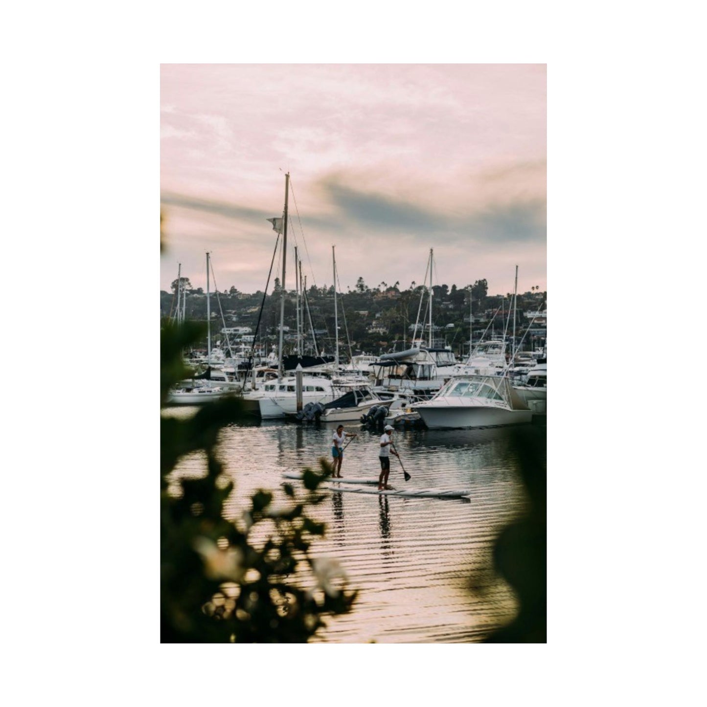 Marina Sunset Matte Poster