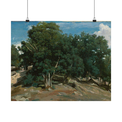Landscape Art Poster — Vintage Oak Trees Matte Horizontal Wall Print