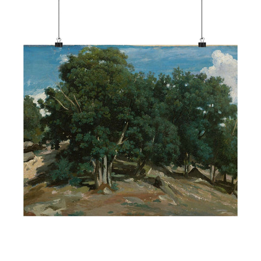 Landscape Art Poster — Vintage Oak Trees Matte Horizontal Wall Print