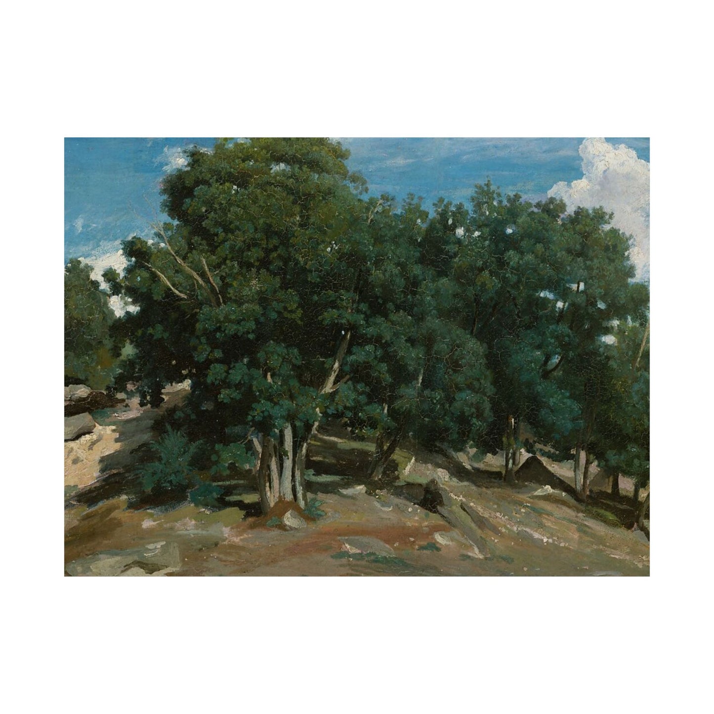 Landscape Art Poster — Vintage Oak Trees Matte Horizontal Wall Print
