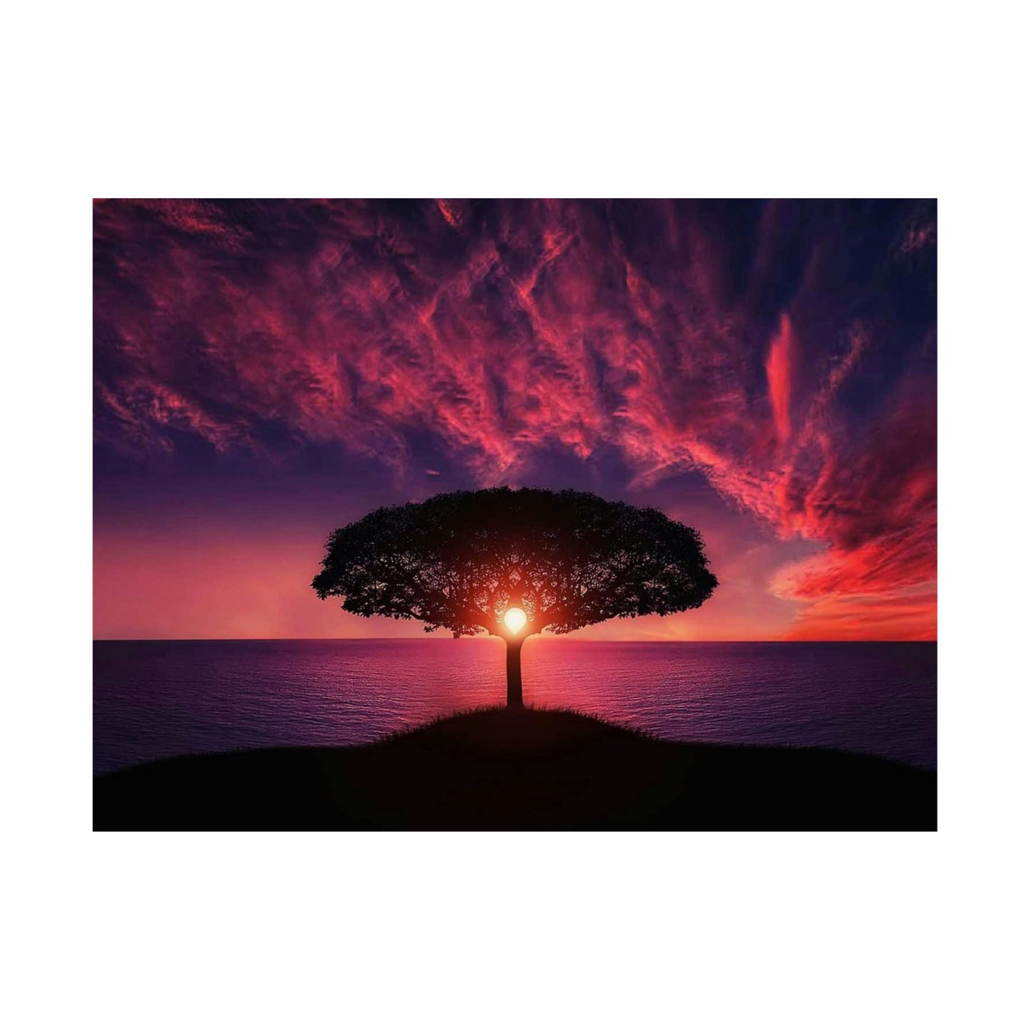 Sunset Tree Matte Poster — Serene Horizon Wall Art