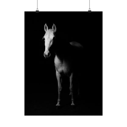 Horse Portrait Poster — Black & White Matte Vertical Art Print