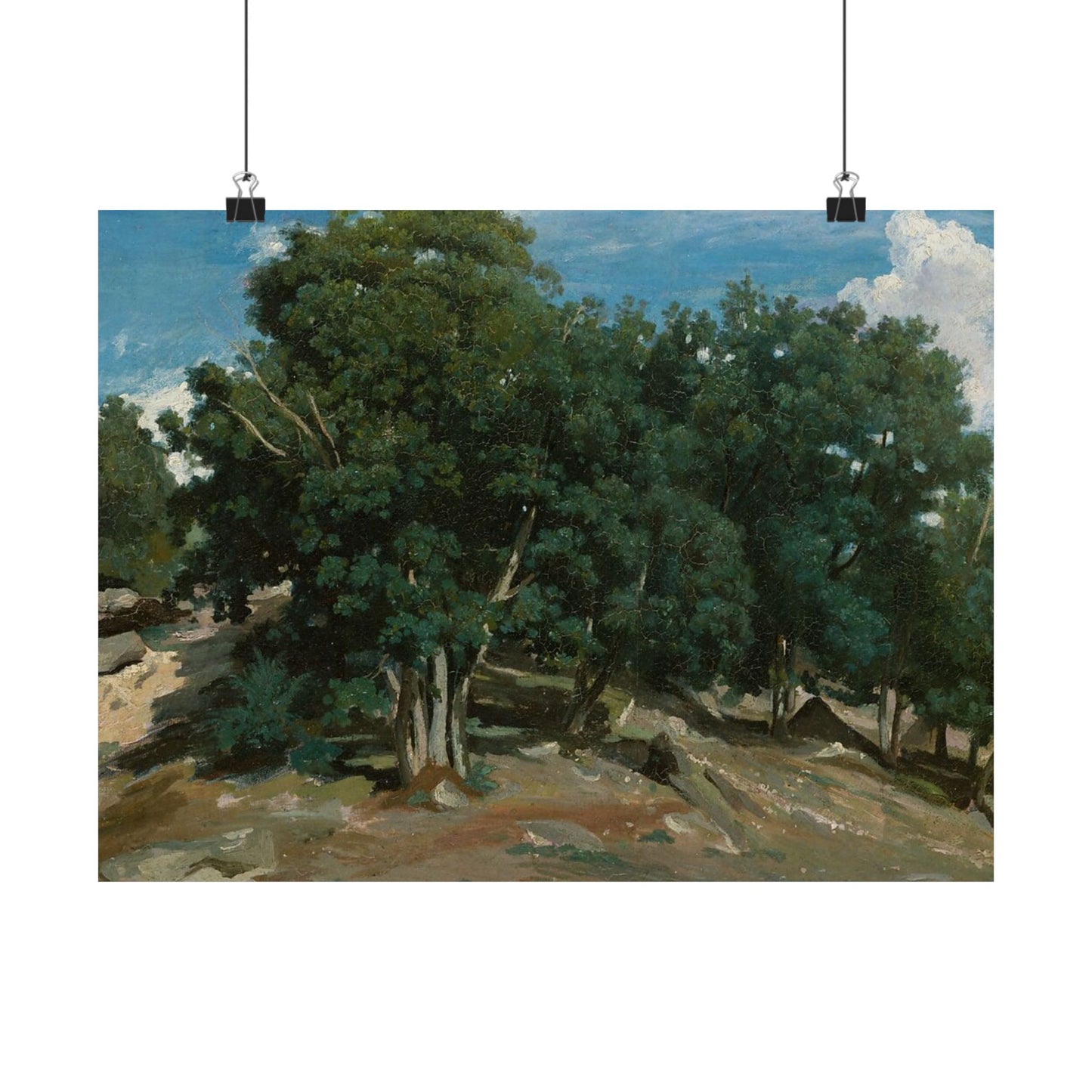 Landscape Art Poster — Vintage Oak Trees Matte Horizontal Wall Print