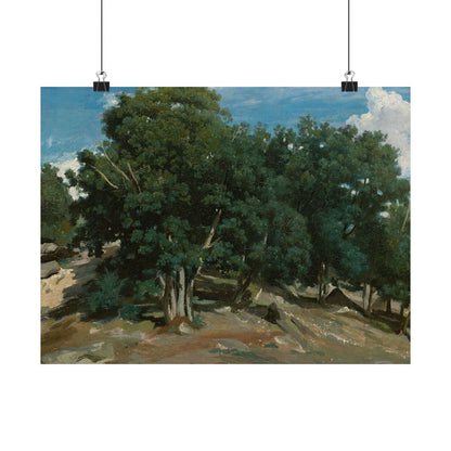 Landscape Art Poster — Vintage Oak Trees Matte Horizontal Wall Print