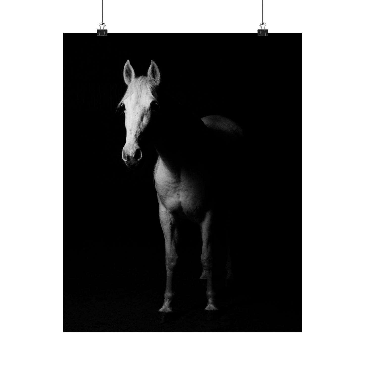 Horse Portrait Poster — Black & White Matte Vertical Art Print