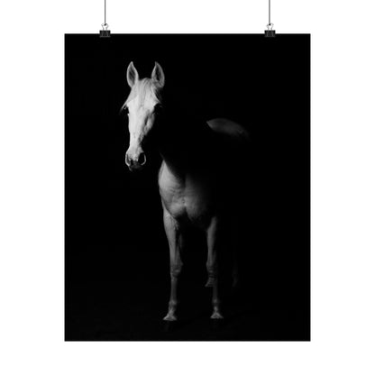 Horse Portrait Poster — Black & White Matte Vertical Art Print