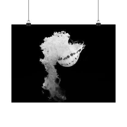 Jellyfish Smoke Matte Horizontal Poster — Minimal Black & White Ocean Art