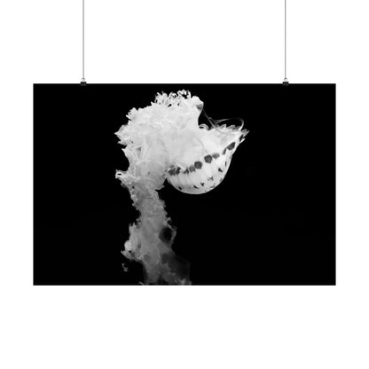 Jellyfish Smoke Matte Horizontal Poster — Minimal Black & White Ocean Art